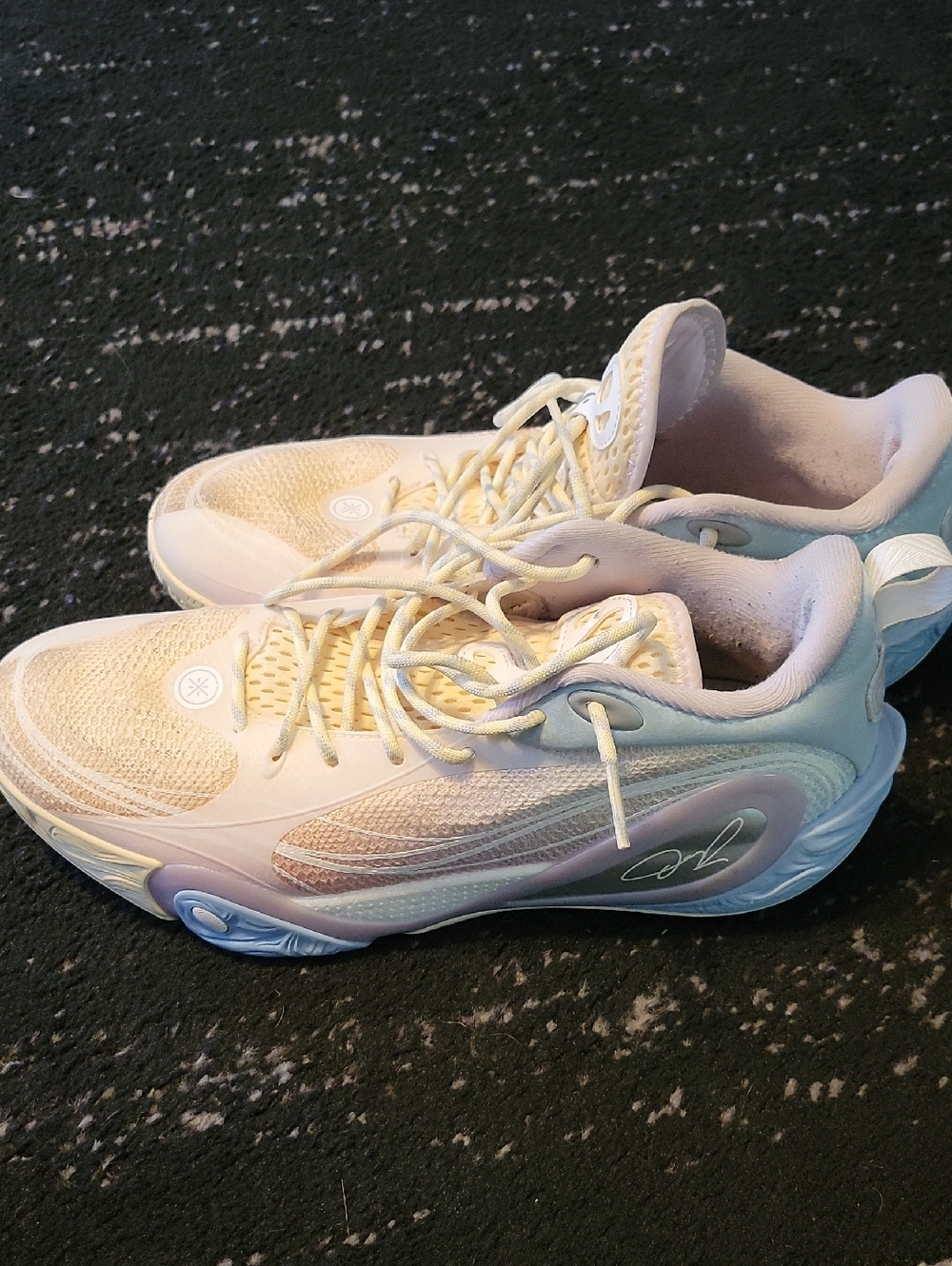 Way of Wade DLO 1 "Training Camp" basketball shoes
